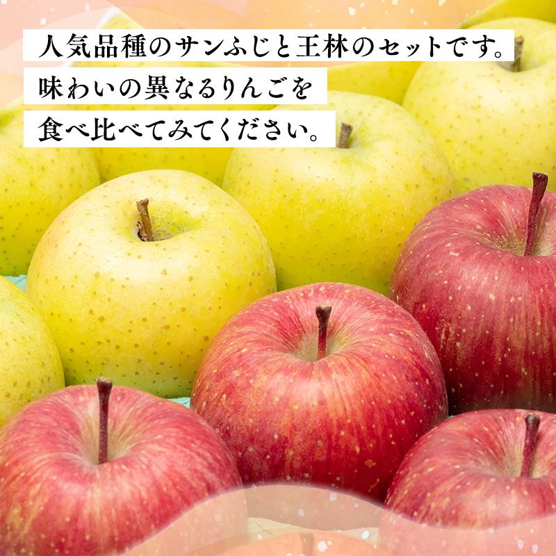年内 サンふじ×王林約5㎏ 【JA津軽みらい・平川市産・青森りんご・12月】