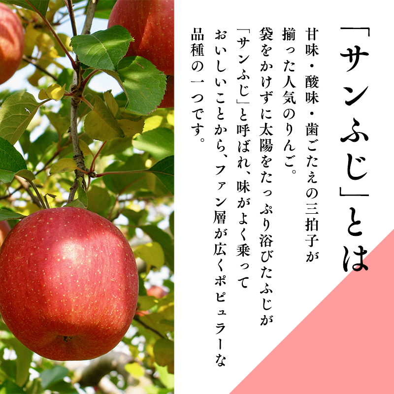 年明け 糖度選別サンふじ約10kg 【JA津軽みらい・平川市産・青森りんご・1月・2月】