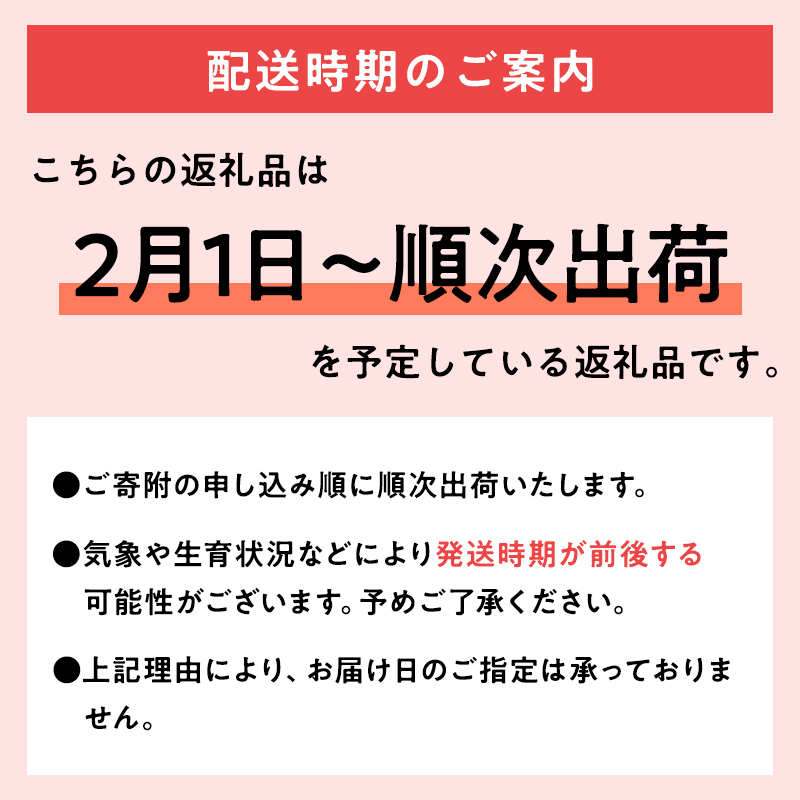 歳末限定！糖度選別 特Aサンふじ約10kg 糖度13度以上選別！　津軽平川市産