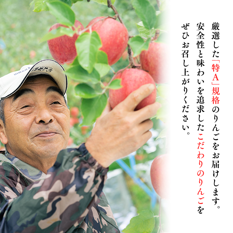 年明け 贈答規格 広船のサンふじ 約3kg「特A」【広船アップルクラブ・平川市広船産・青森りんご】
