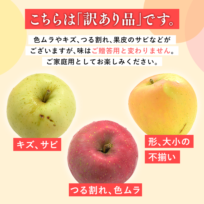 年内発送 【訳あり】家庭用ぐんま名月約3㎏（糖度証明書付き） 【那由多のりんご園・平川市産】