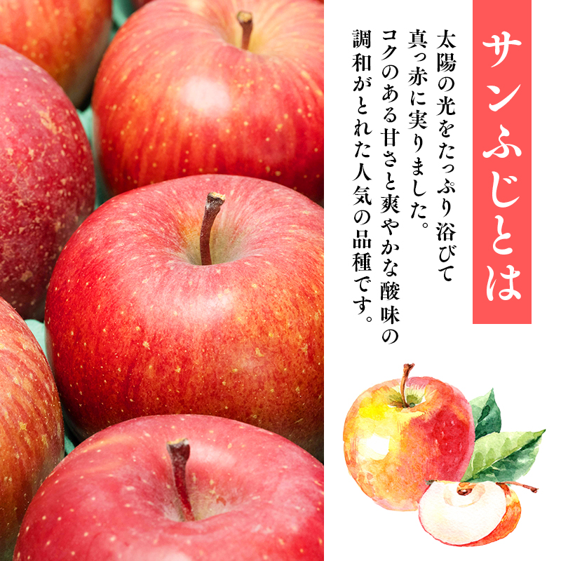 【12月発送】 贈答用サンふじ約3kg（糖度証明書付き） 【那由多のりんご園・平川市産】