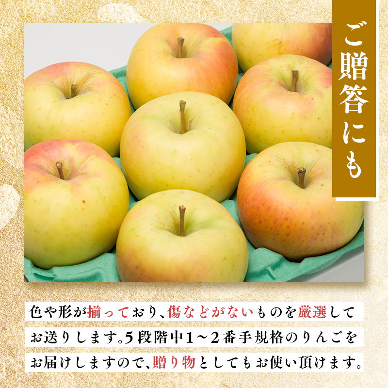 【1~2月発送】 贈答用ぐんま名月約5kg（糖度証明書付き） 【那由多のりんご園・平川市産】