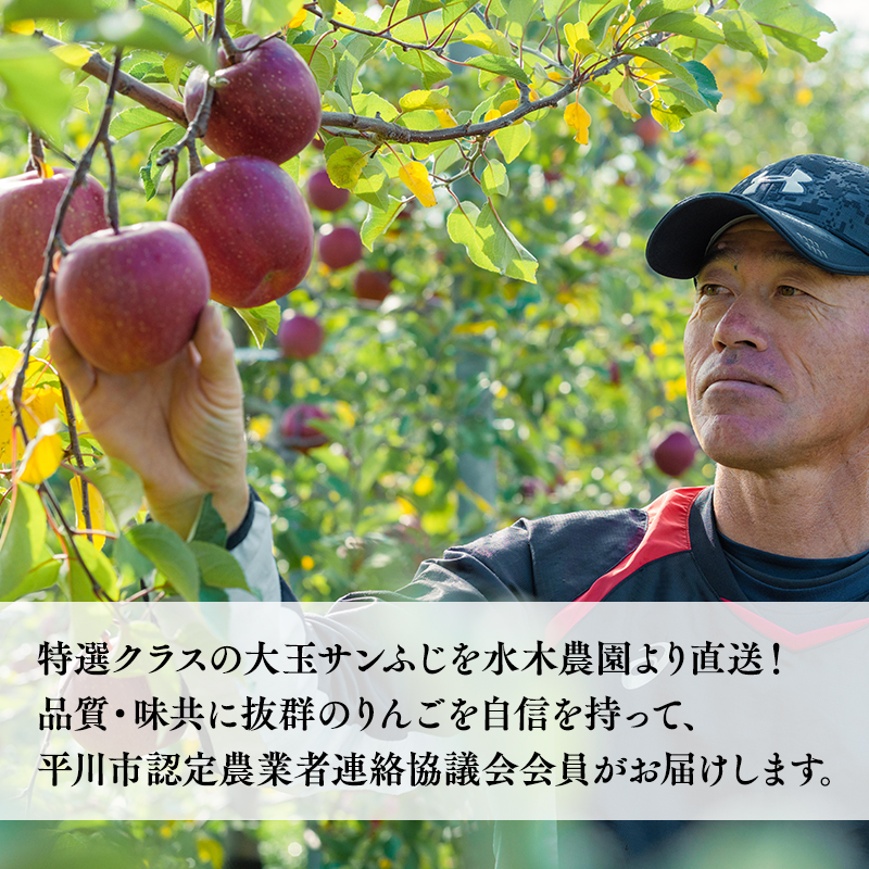 年明け premiumサンふじ 5個（約2kg） 厳選大玉 【水木農園・青森りんご・平川市産・1月】