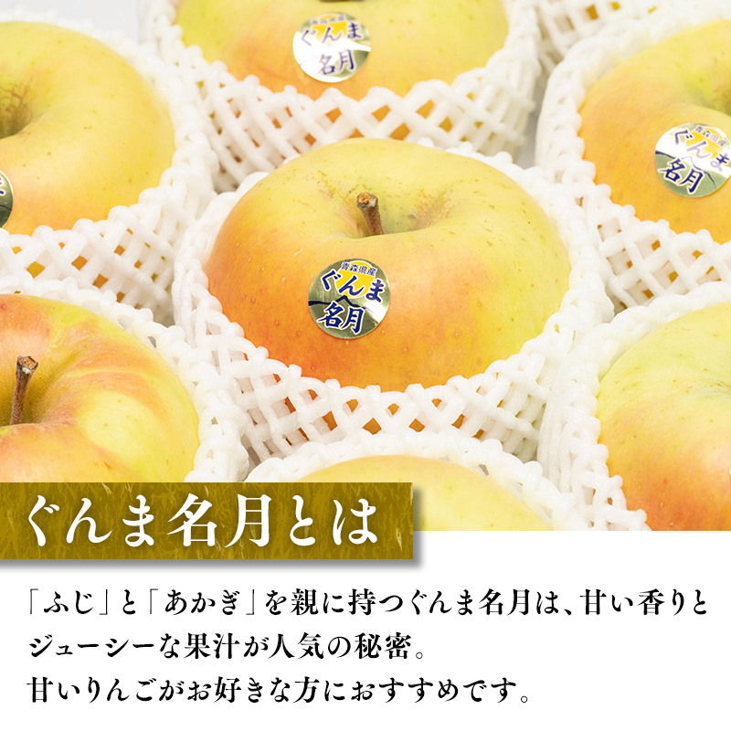 11～12月 家庭用 キラ農法  ぐんま名月約5kg 【青森りんご・平川市広船産・11月・12月】