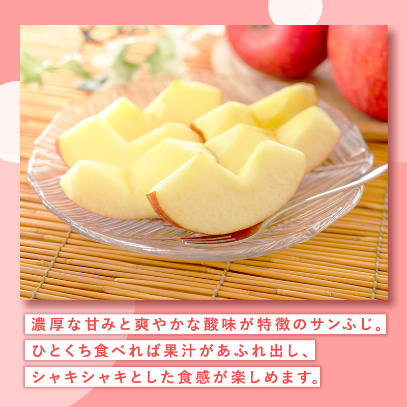 4月 訳ありCA貯蔵 サンふじ 約10kg【森山商店・青森県産・青森りんご・4月】