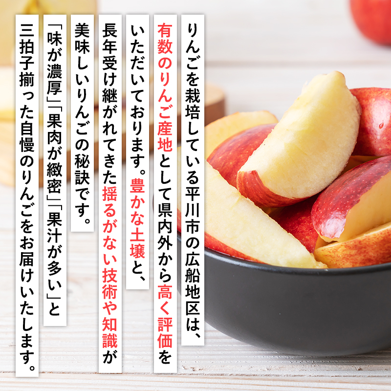 【2025年12月発送】 吹田りんご園 山の完熟サンふじ約5kg 【吹田りんご園・青森りんご・平川市広船産・12月】