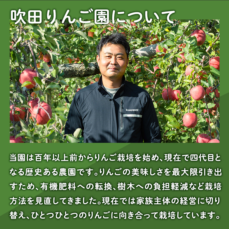 【2025年12月発送】 吹田りんご園 山の完熟サンふじ・シナノゴールド約5kg 【吹田りんご園・青森りんご・平川市広船産・12月】