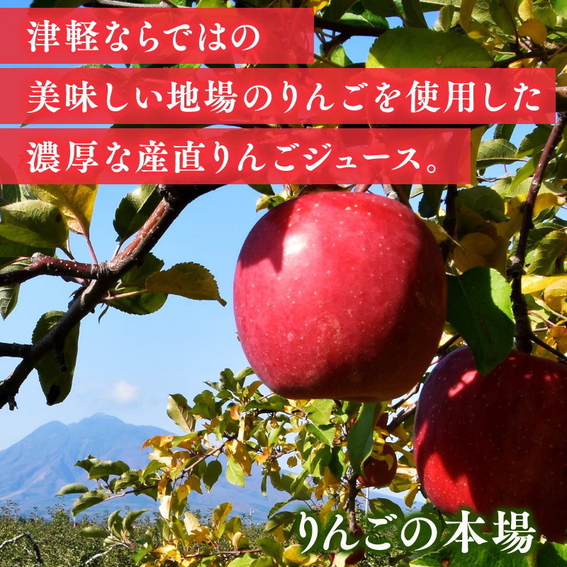 青森りんごそのまんま イカリのうまかっぺえジュース500ml×6本