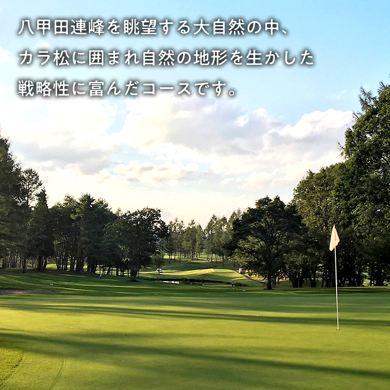 びわの平ゴルフ倶楽部　平日セルフプレー券