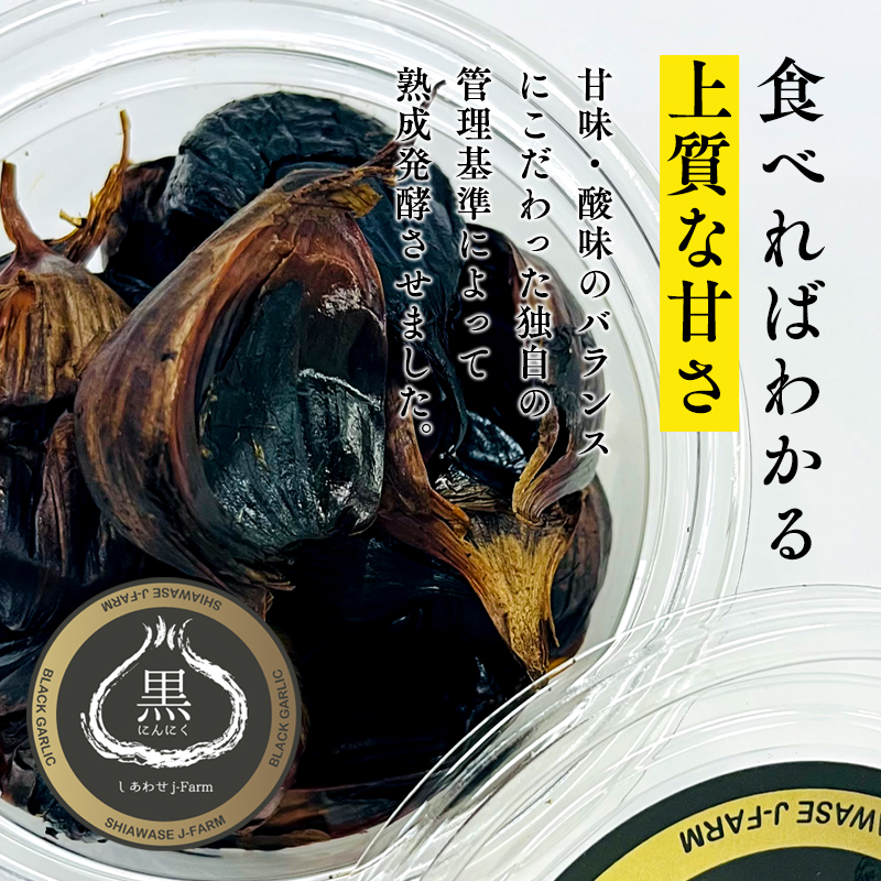 しあわせj-Farm しあわせ黒にんにく 100g×2P