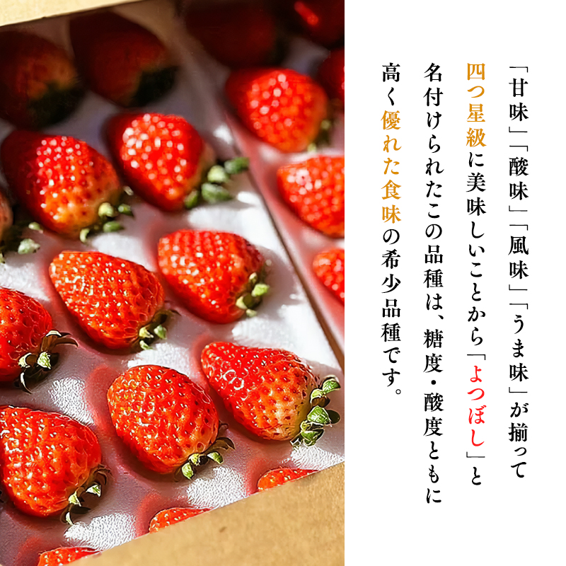 【2~4月発送】いちご よつぼし 約200ｇ×4パック