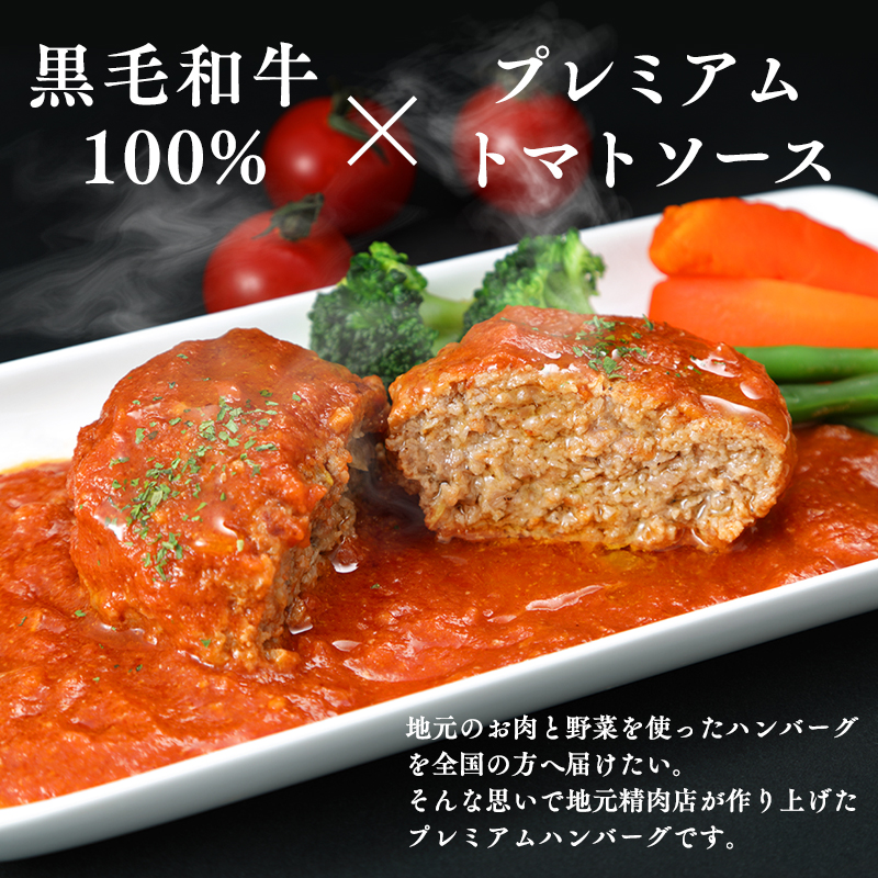トマト煮込みハンバーグ160g×5 【平川市産原料使用】
