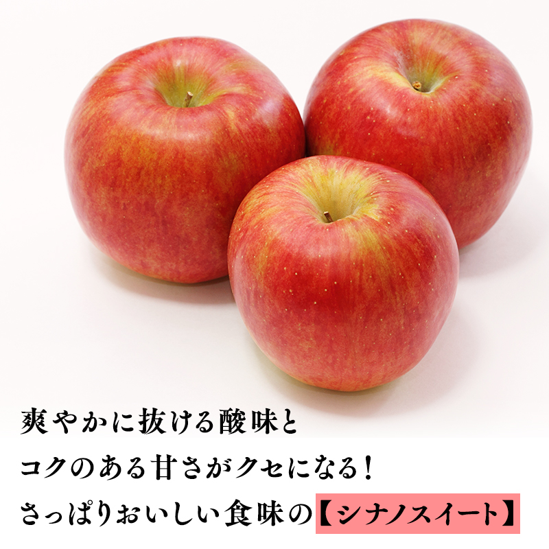 【10～11月発送】贈答用 農家直送 樹上熟成りんご シナノスイート・ぐんま名月 約3kg【平川市産・青森りんご】