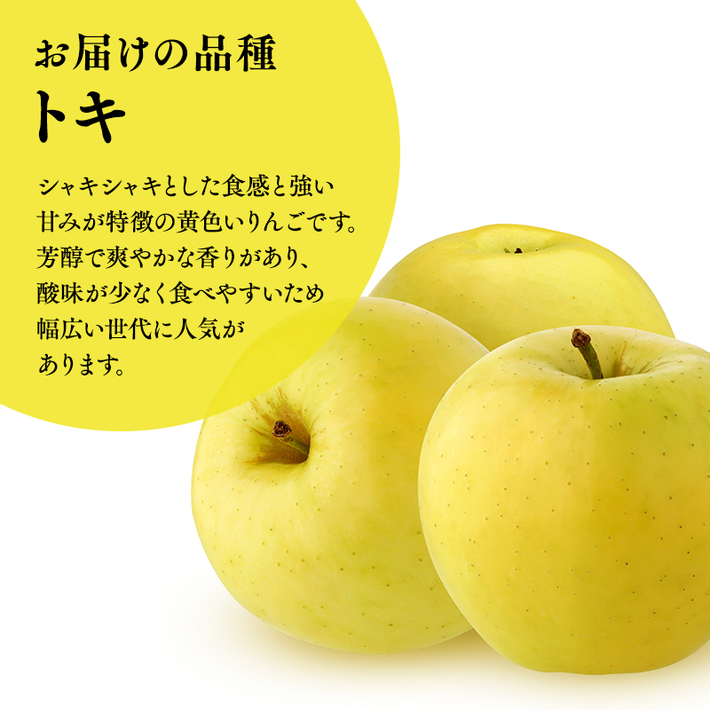 ≪2026年9月中旬頃より発送≫青森県産 訳あり トキ 約3kg【青森県 平川市 なるみ農園】家庭用 訳アリ 青森 青森県産 平川 りんご リンゴ 林檎 くだもの 果物 フルーツ 