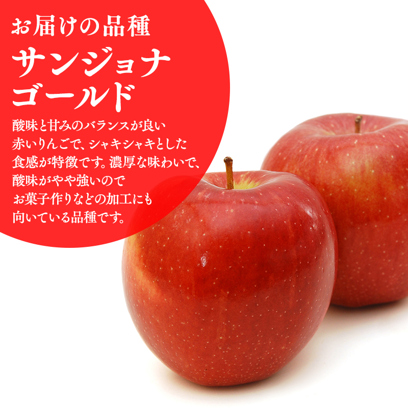 ≪2026年10月中旬頃より発送≫青森県産 訳あり サンジョナゴールド 約3kg【青森県 平川市 なるみ農園】家庭用 訳アリ 青森 青森県産 平川 りんご リンゴ 林檎 くだもの 果物 フルーツ 