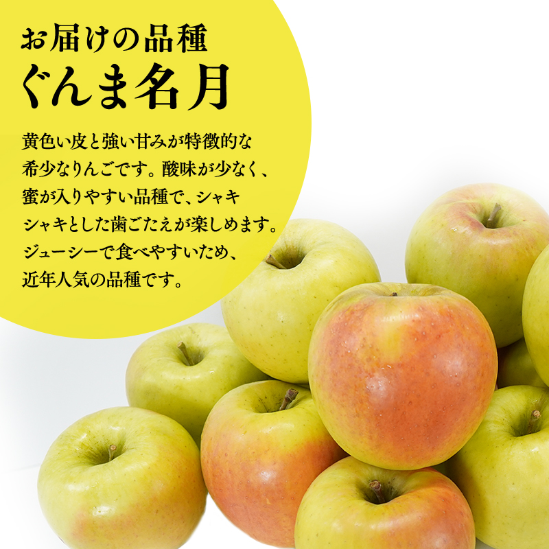 ≪2026年10月下旬頃より発送≫青森県産 訳あり ぐんま名月 約3kg【青森県 平川市 なるみ農園】家庭用 訳アリ 青森 青森県産 平川 りんご リンゴ 林檎 くだもの 果物 フルーツ 