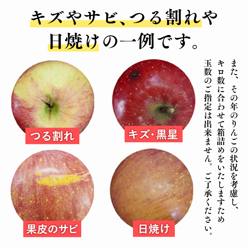 ≪令和8年産先行受付≫12月発送! 訳あり 家庭用サンふじ約3kg【青森県 平川市 山内ファーム】家庭用 平川市産 青森りんご りんご リンゴ 林檎 ふじ 訳あり 家庭用 お取り寄せ 先行予約 果物 くだもの フルーツ 