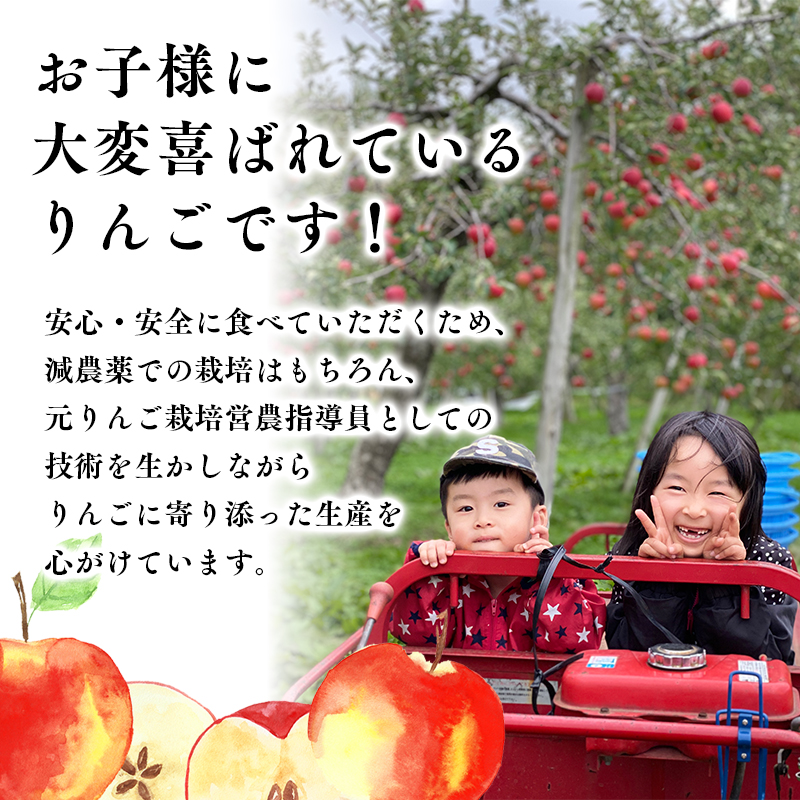 ≪令和8年産先行受付≫令和9年2月発送! 贈答規格サンふじ約2kg【青森県平川市産・青森りんご】【青森県 平川市 山内ファーム】 平川市産 青森りんご りんご リンゴ 林檎 ふじ 贈答 贈答品 お取り寄せ 先行予約 果物 くだもの フルーツ 