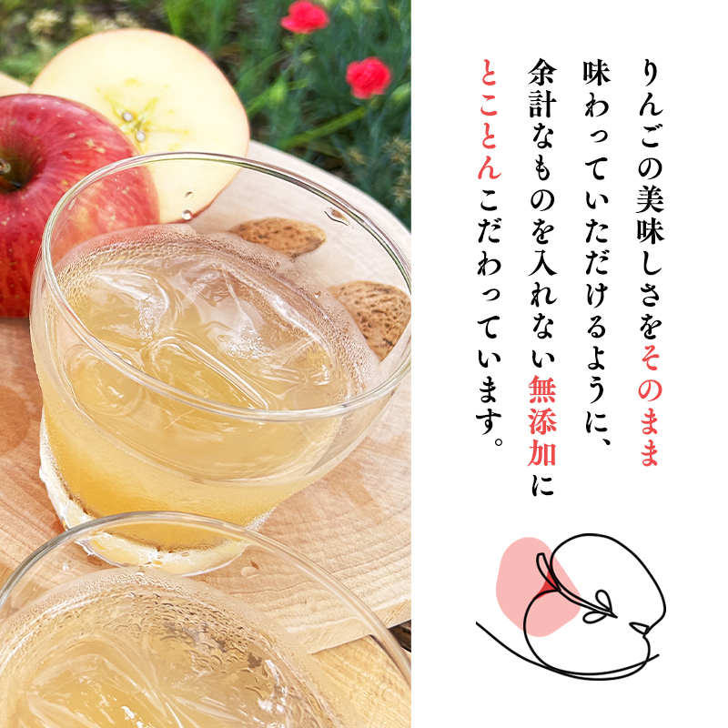 青森県産 無添加りんごジュース1L×3本【青森　平川市　そと川りんご園　平川市産りんご】