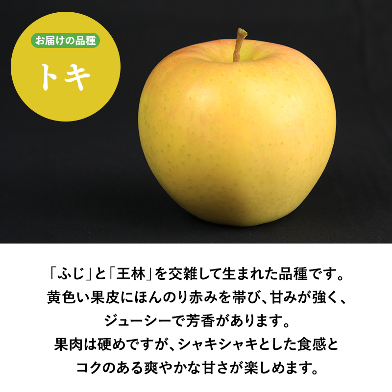 2025年産１０月発送　贈答用トキ5ｋｇ　【そと川りんご園・１０月・青森県産・平川市・りんご・トキ・5ｋｇ・贈答用】