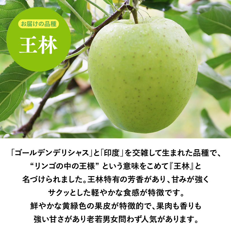 2025年産 １１月～１月発送　贈答用王林3ｋｇ　【そと川りんご園・１１月・１２月・１月・青森県産・平川市・りんご・王林・3ｋｇ・贈答用】