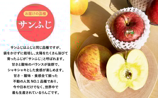 2025年産１１月～４月発送　贈答用葉とらずサンふじ3kg【青森県 平川市 そと川りんご園】１１月～４月発送 贈答 青森 青森県産 平川 葉とらず サンふじ ふじ りんご リンゴ 林檎 くだもの 果物 フルーツ 