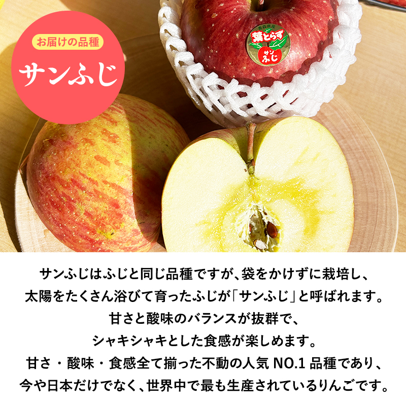 2025年産１１月～４月発送　贈答用葉とらずサンふじ5ｋｇ　【そと川りんご園・１１月・１２月・１月・２月・３月・４月・青森県産・平川市・りんご・葉とらずサンふじ・5ｋｇ・贈答用】