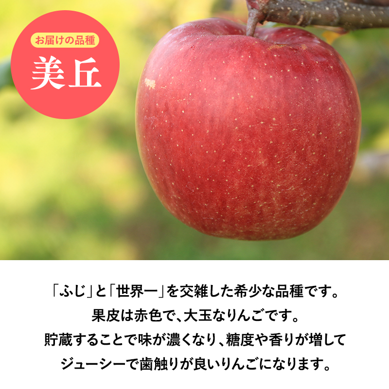 2025年産 ３月発送　【訳あり】家庭用美丘3ｋｇ　【そと川りんご園・３月・青森県産・平川市・りんご・美丘・3ｋｇ・訳あり・家庭用】