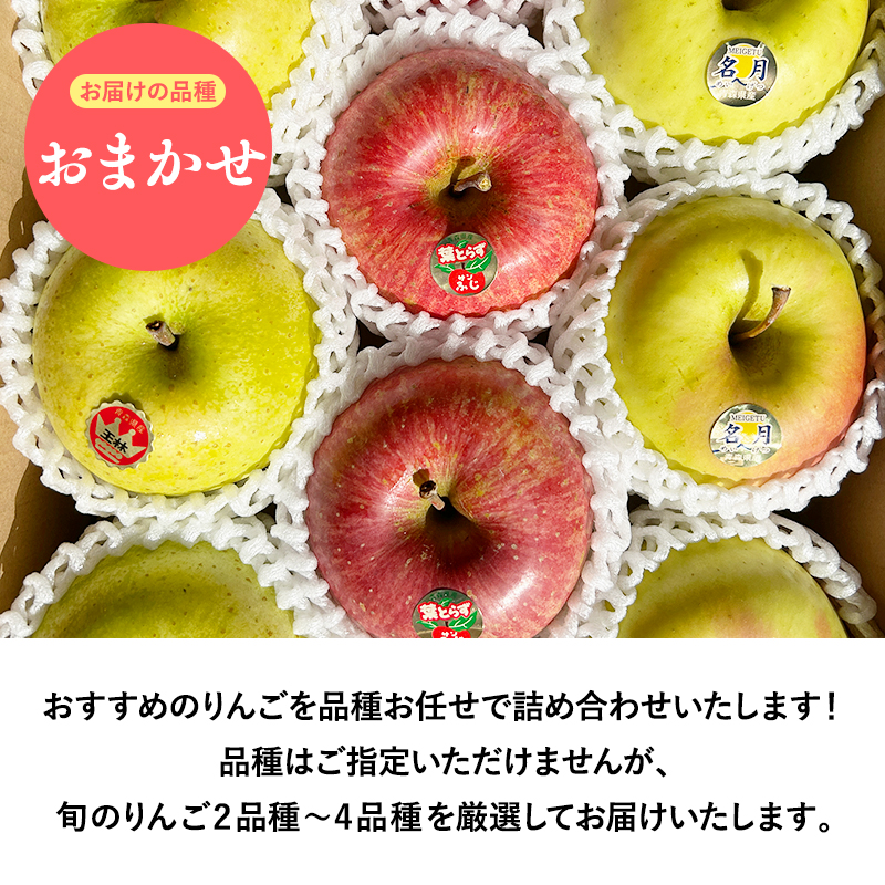 2025年産品種お任せ　贈答用　旬のりんご詰め合わせ10㎏