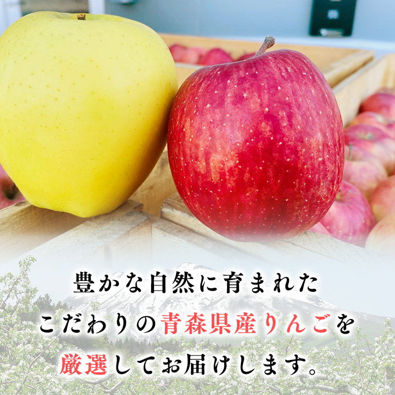 12月発送 【特選】サンふじ10㎏【りんご・青森・平川・特選・宮川商店・11月・12月・1月・2月・3月・4月】