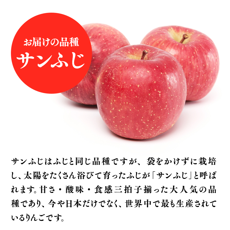 ≪選べる配送月≫３～４月発送　訳あり　家庭用　甚八りんごサンふじ３kg　【マルジンサンアップル　3月　青森県産　平川市　りんご　サンふじ　3kg　訳あり　家庭用】 3月発送 3kg