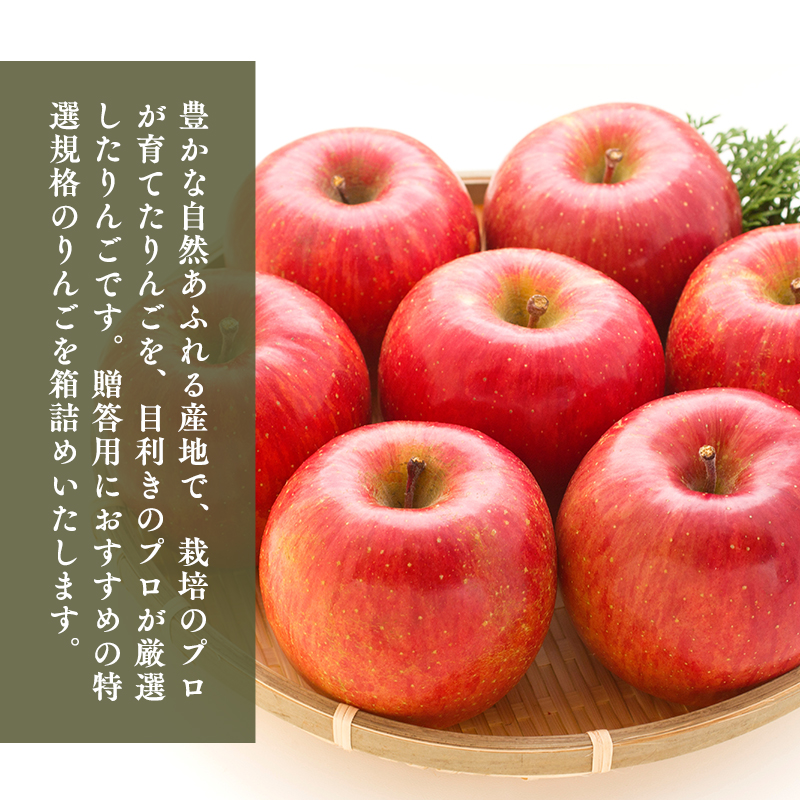 ≪選べる配送月≫３～４月発送　特選　甚八りんごサンふじ３kg　【マルジンサンアップル　3月　４月　青森県産　平川市　りんご　サンふじ　3kg　特選　贈答用】 3月発送 3kg