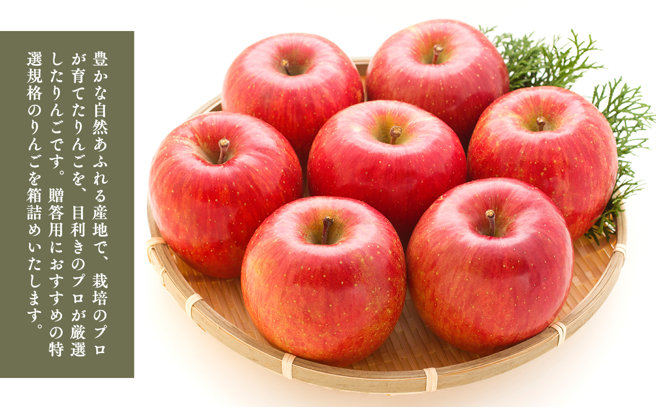 ≪選べる配送月≫３～４月発送　特選　甚八りんごサンふじ5kg　【マルジンサンアップル　3月　４月　青森県産　平川市　りんご　サンふじ　5kg　特選　贈答用】 3月発送 5kg