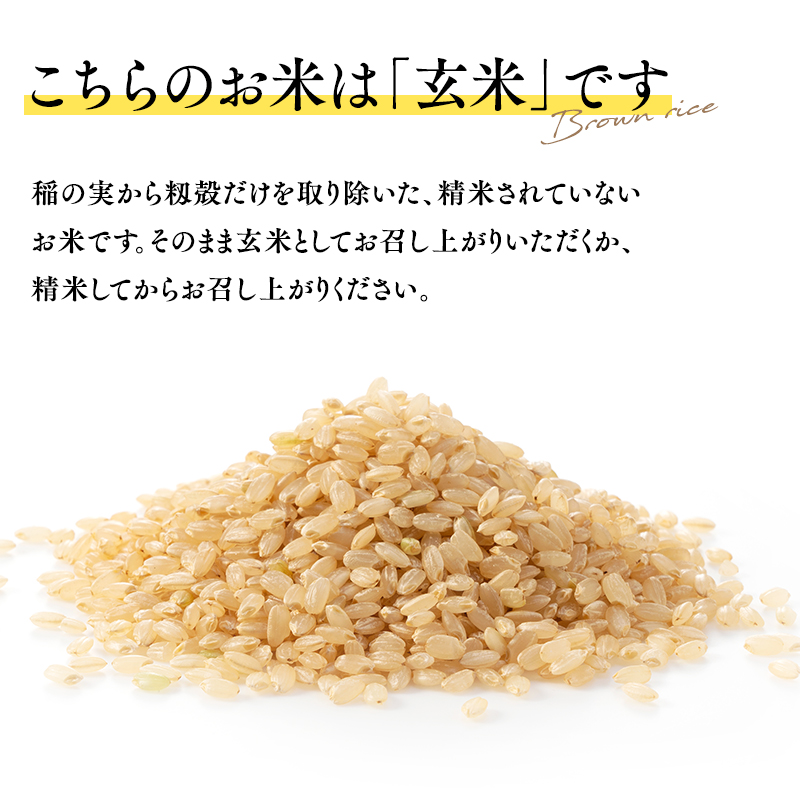 【令和7年産 先行予約   配送時期：2025年11月中旬～】　【3ヶ月連続お届け】特別栽培米 はれわたり玄米5kg×3回