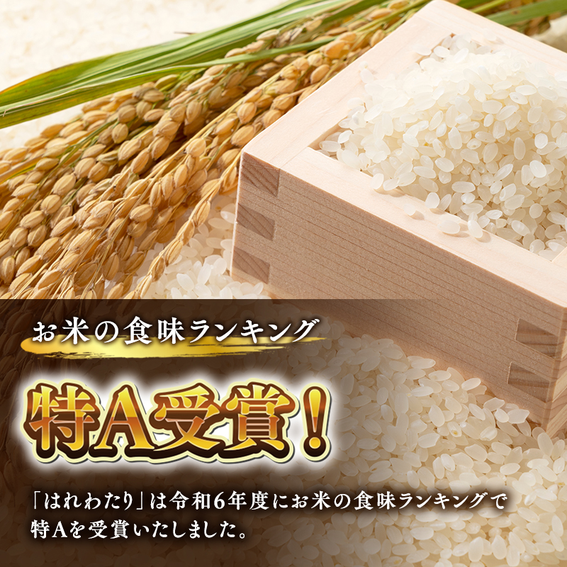 【令和7年産 先行予約   配送時期：2025年11月中旬～】　【3ヶ月連続お届け】特別栽培米 はれわたり白米5kg×3回