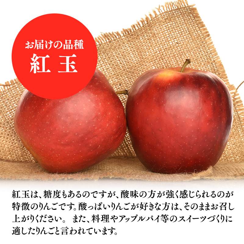 １０月発送　訳あり　家庭用　甚八りんご紅玉５kg　【マルジンサンアップル　10月　青森県産　平川市　りんご　紅玉　5kg　訳あり　家庭用】