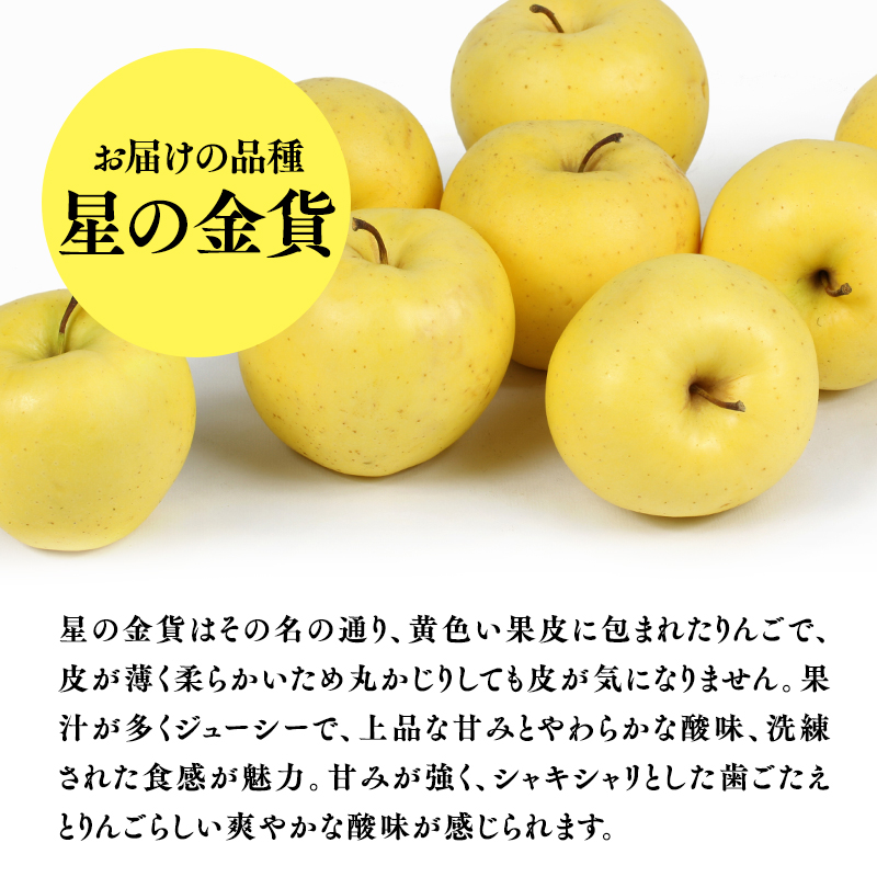 １１月発送　特選　甚八りんご星の金貨5kg　【マルジンサンアップル　11月　青森県産　平川市　りんご　星の金貨　5kg　特選　贈答用】