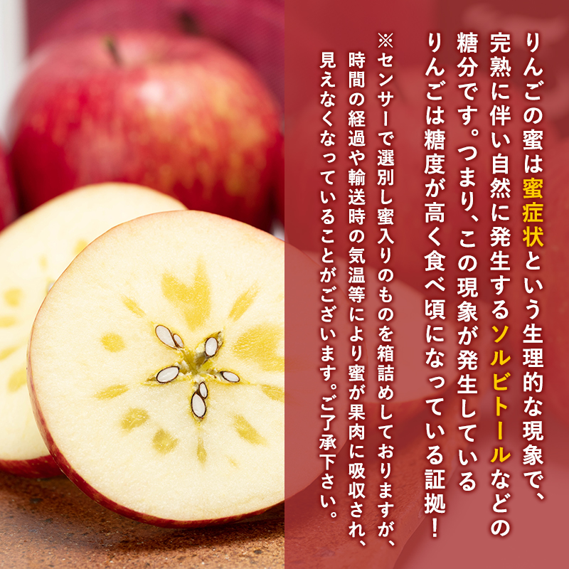 年内 蜜入り 糖度選別サンふじ約3㎏ 【JA津軽みらい・平川市産・青森りんご・12月】