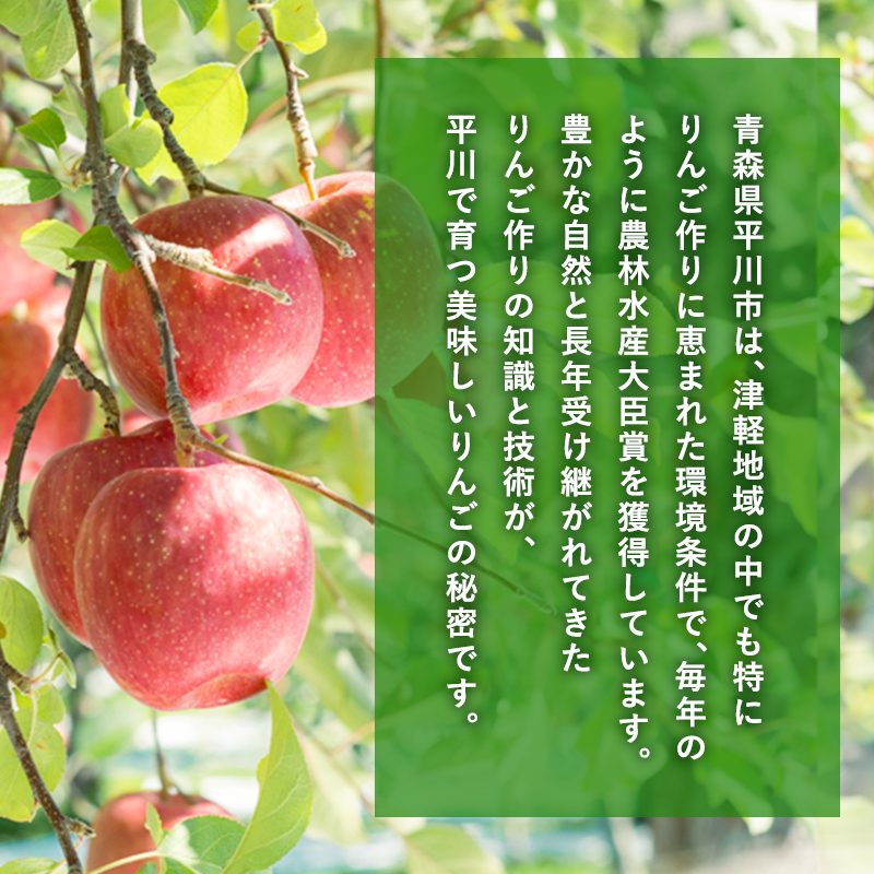 年内 最高級「特選」 糖度選別サンふじ 約3kg 【JA津軽みらい・平川市産・青森りんご・12月】