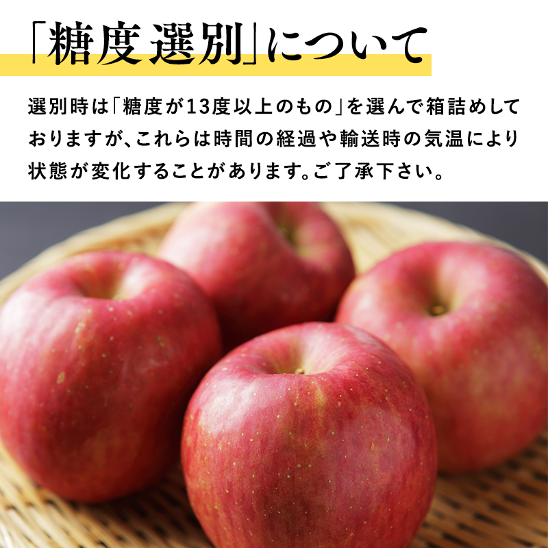 歳末限定！糖度選別 特Aサンふじ約5kg 糖度13度以上選別！津軽平川市産