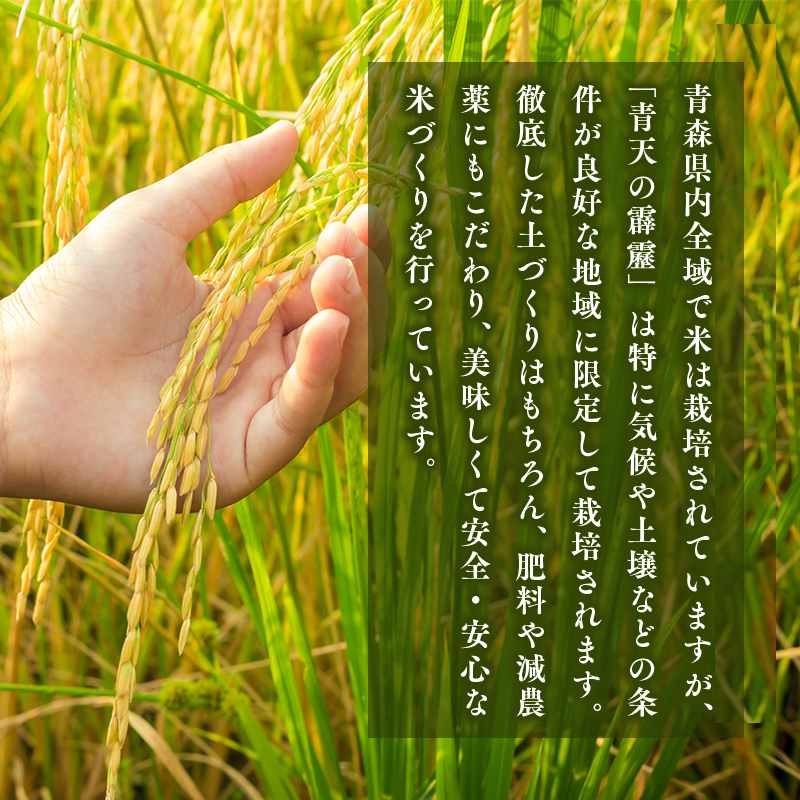 【定期便】3か月連続でお届け 令和6年産 青天の霹靂5kg(精米)