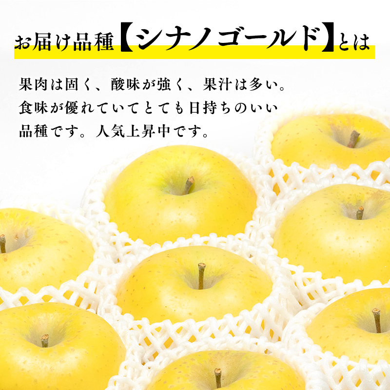 【12月・1月発送】 親子三代最高位のシナノゴールド約5kg【全国ふじコンテスト最高賞受賞農園・平川市広船産りんご】