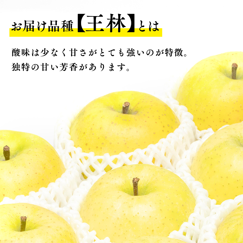 【4月発送】親子三代最高位の王林 約3kg【全国ふじコンテスト最高賞受賞農園・平川市広船産りんご】