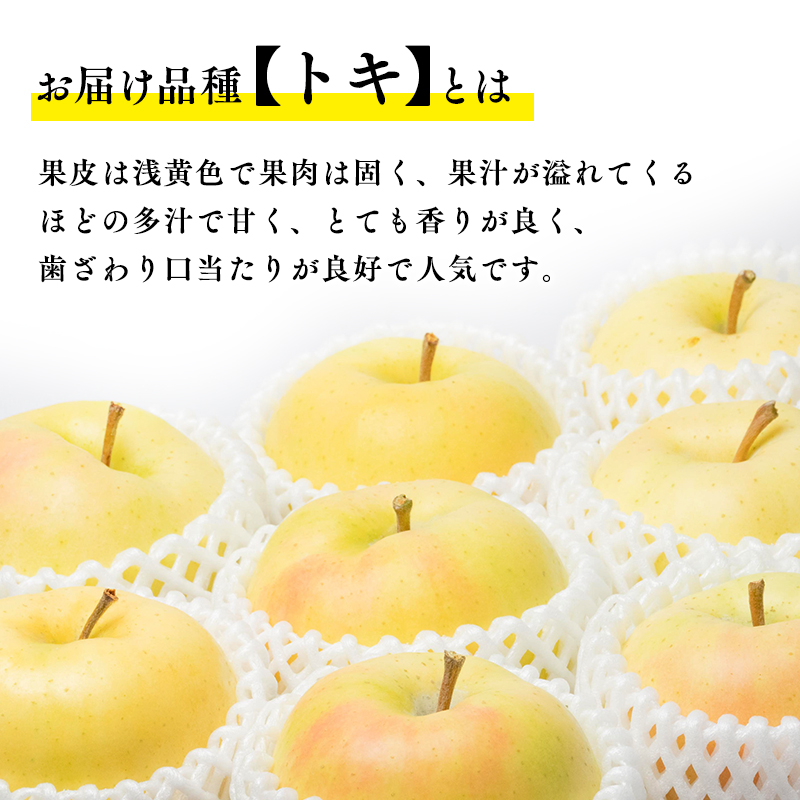 【10月発送】 親子三代最高位のトキ 約3kg【全国ふじコンテスト最高賞受賞農園・平川市広船産りんご】