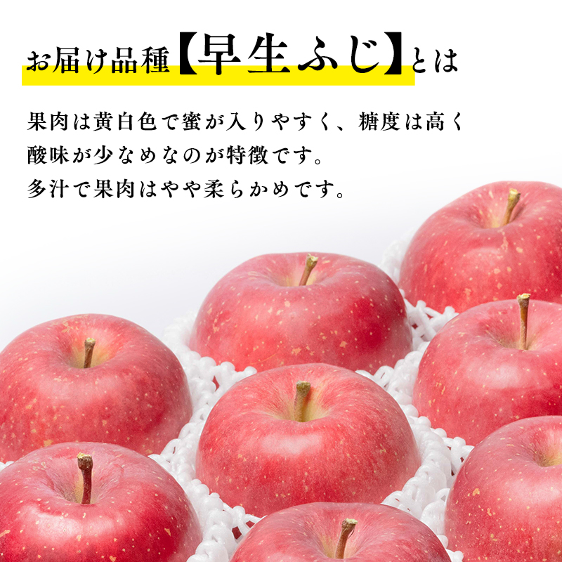 【10月発送】 親子三代最高位の早生ふじ 約3kg【全国ふじコンテスト最高賞受賞農園・平川市広船産りんご】