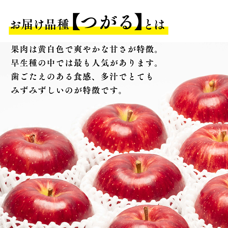 【9月発送】 親子三代最高位のつがる 約3kg【全国ふじコンテスト最高賞受賞農園・平川市広船産りんご】