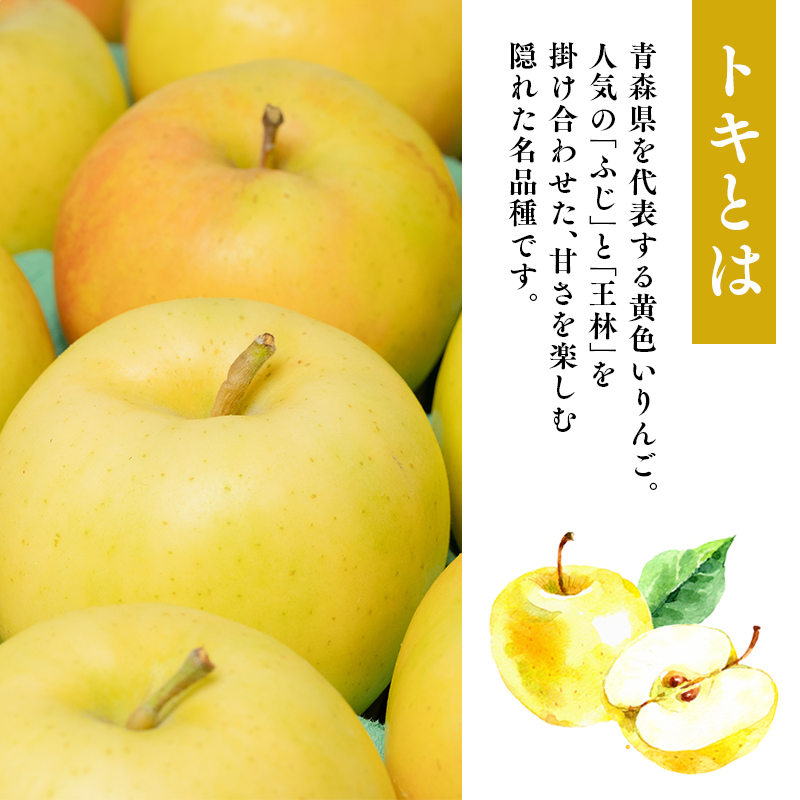 年内発送 【訳あり】家庭用 トキ 約5kg【那由多のりんご園・平川市産】