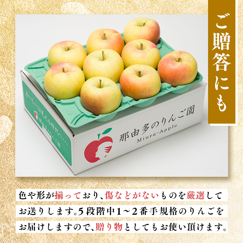 【11~12月発送】 贈答用ぐんま名月約3kg（糖度証明書付き） 【那由多のりんご園・平川市産】