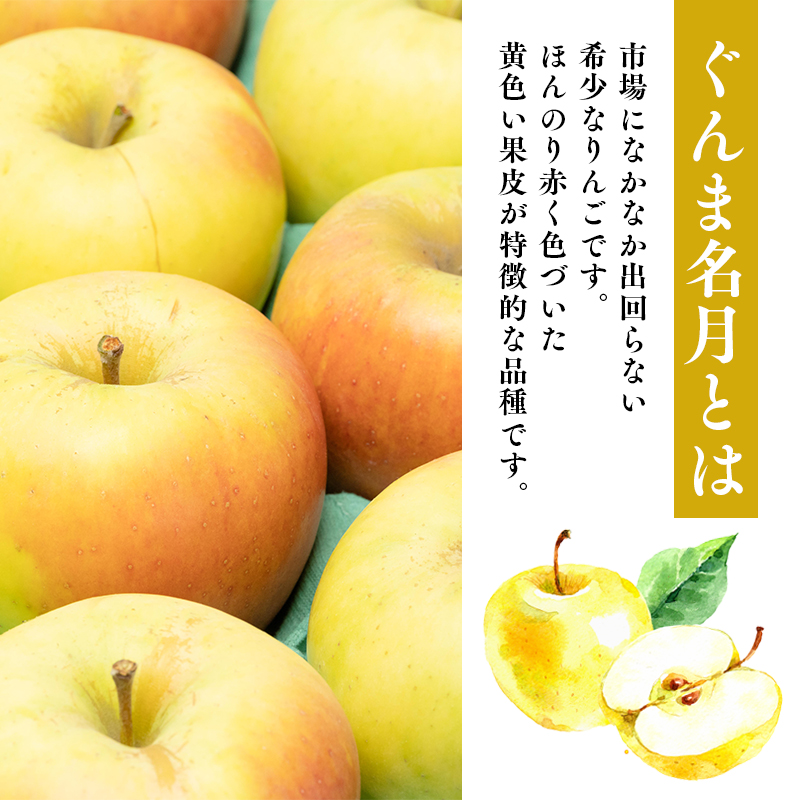【1~2月発送】 贈答用ぐんま名月約3kg（糖度証明書付き） 【那由多のりんご園・平川市産】